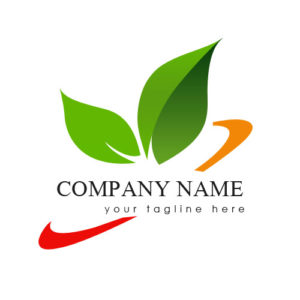Design logo and visual branding